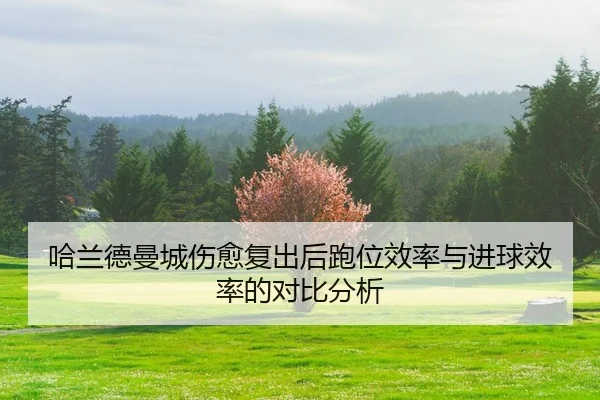 哈兰德曼城伤愈复出后跑位效率与进球效率的对比分析