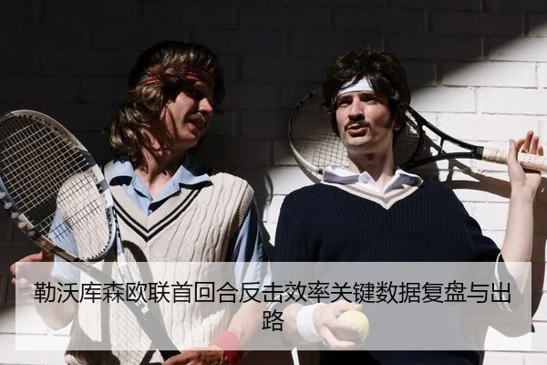 lei-wo-ku-sen-ou-lian-shou-hui-he-fan-ji-xiao-lv-guan-jian-shu-ju-fu-pan-yu-chu-lu-2-514.jpg